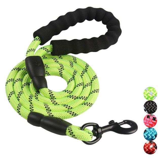 Green Dog Leash