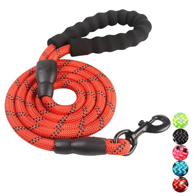 Red Dog Leash