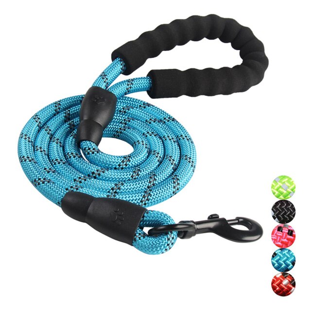 Blue Dog Leash