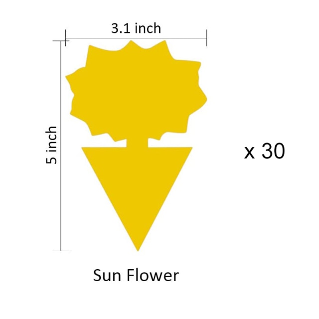 30pcs Sun flower