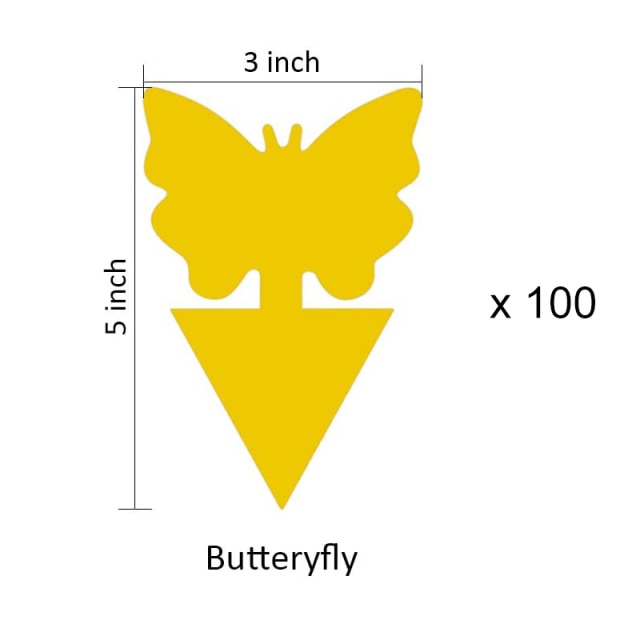 100pcs Butterfly