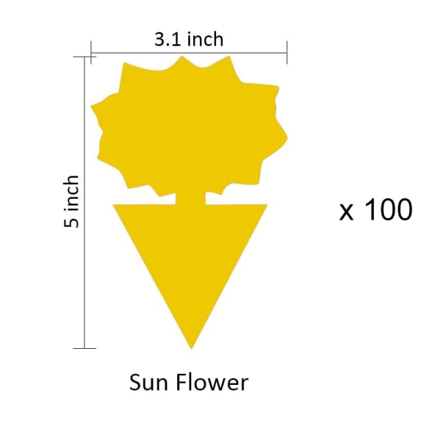 100pcs Sun flower