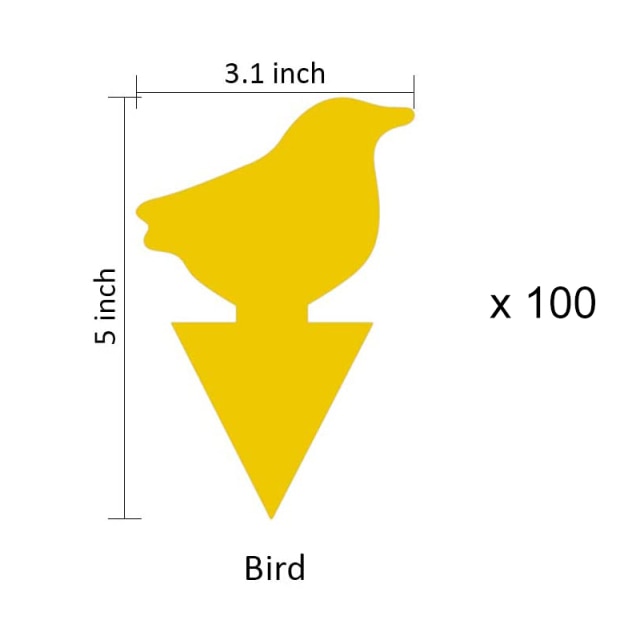100pcs Bird