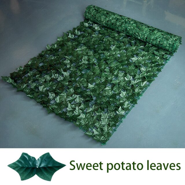 sweet potato leaves
