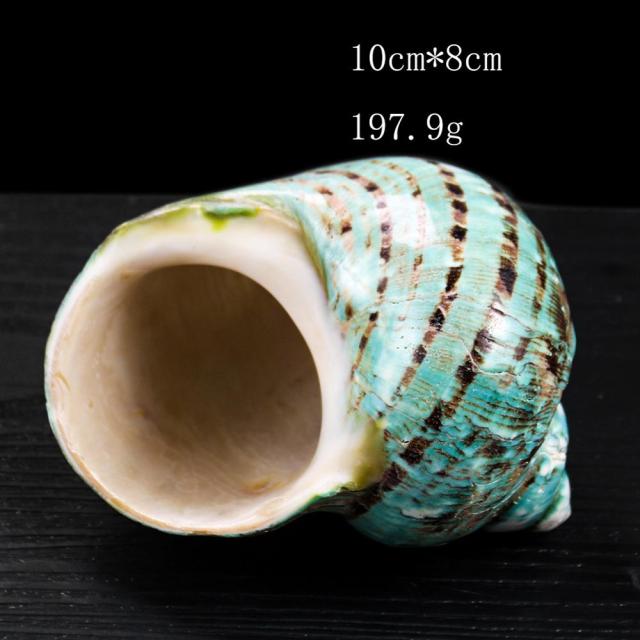 10cm