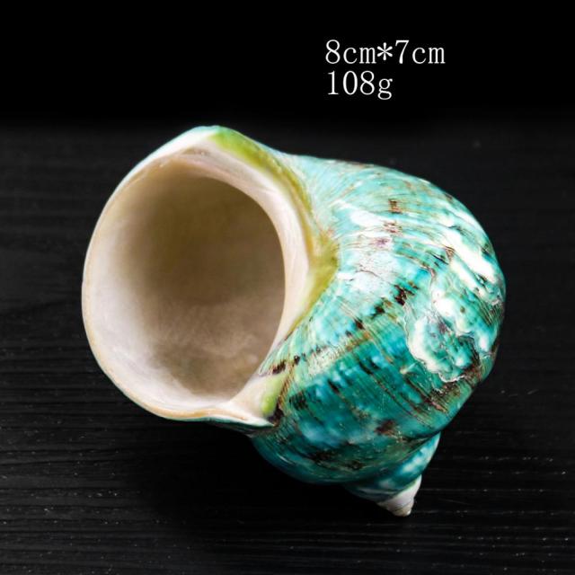 8cm