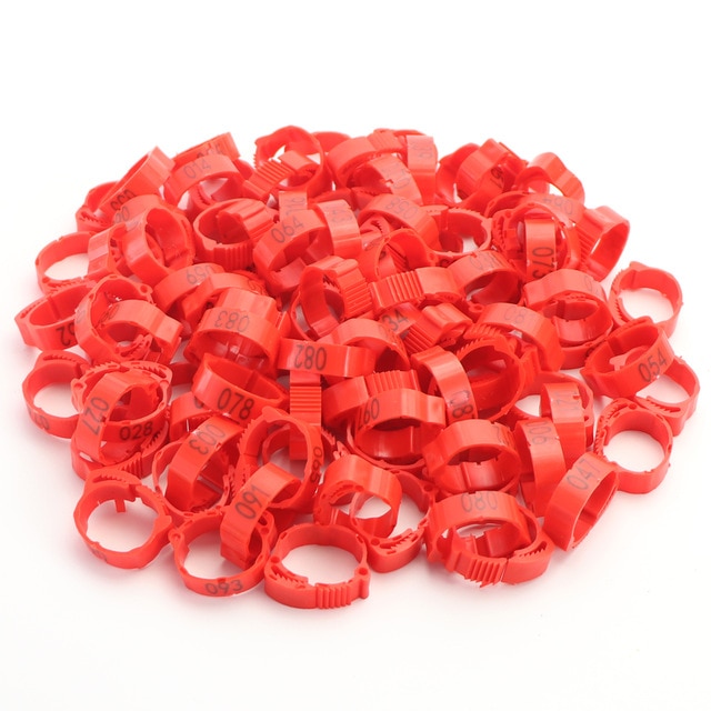 red 100pcs