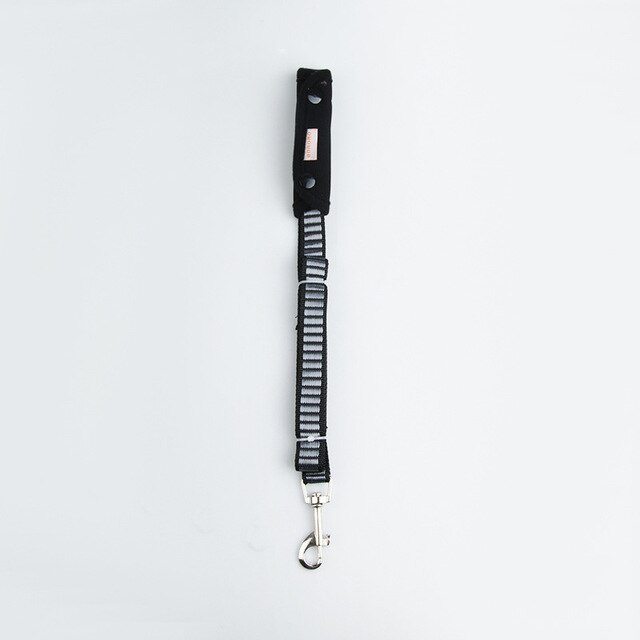 Gray leash