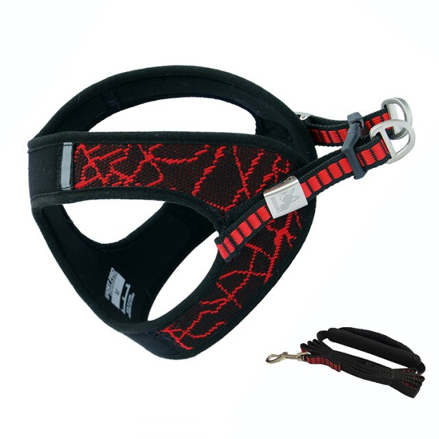 Red Harness Leash