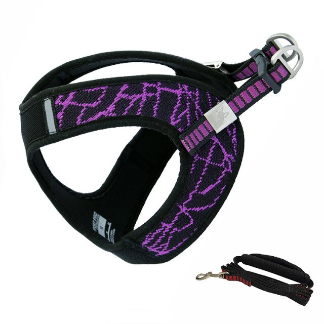 Purple harness leash