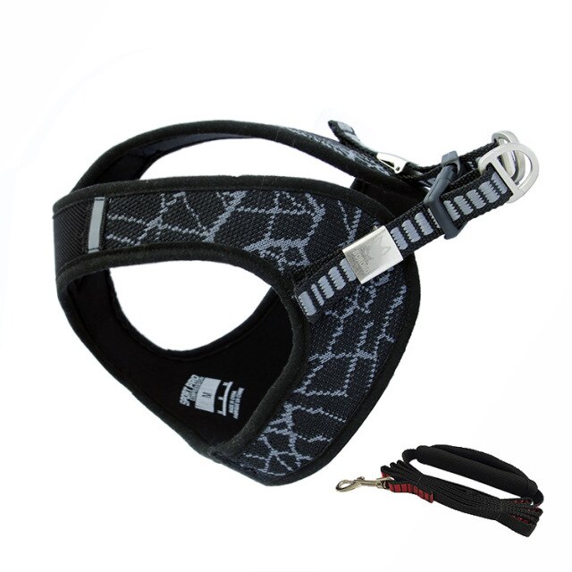 Gray harness leash