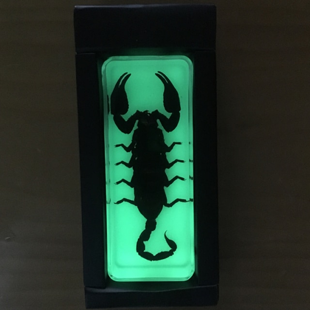 Luminous scorpion