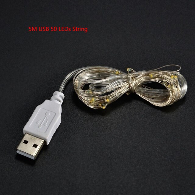 5M USB string light