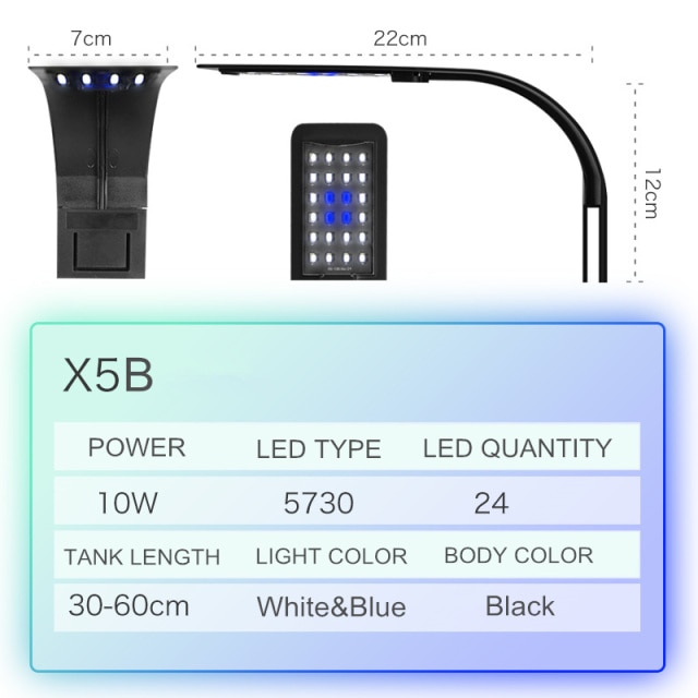 X5B White Blue Light