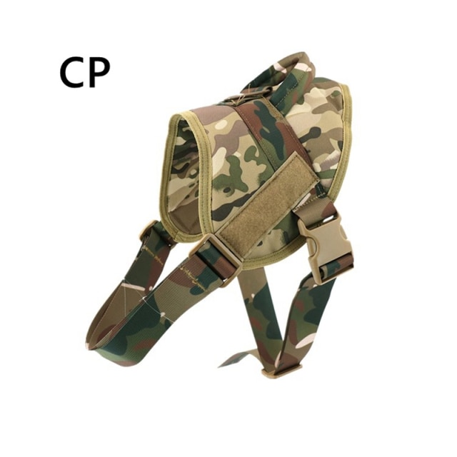 CP Harness