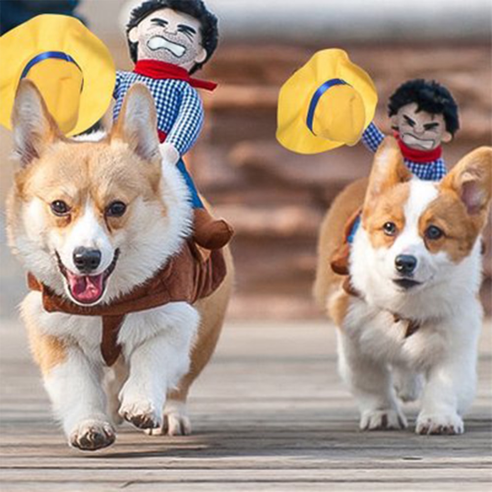 Donság, Halloween, Kutya, Jelmez, Kisállat, Ruha, Cowboy Jacket Kabátok Vicces Francia Bulldog Chihuahua Party Kutyák Ruházat