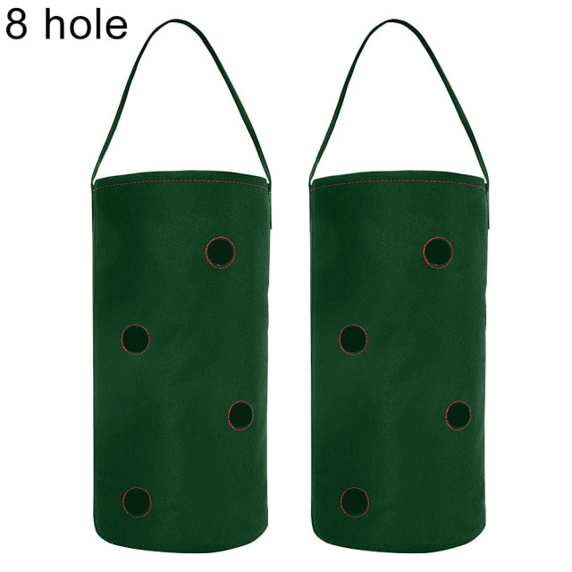 Green 8 Hole