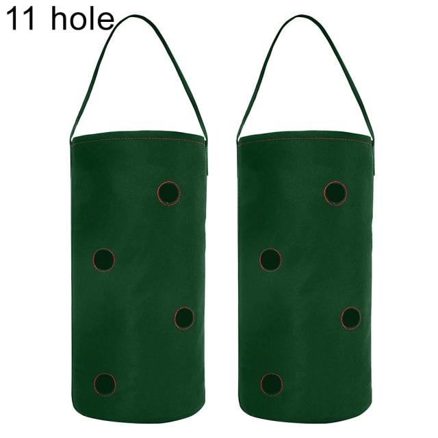 Green 11 Hole
