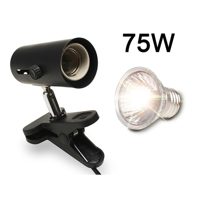 Black and 75W lamp