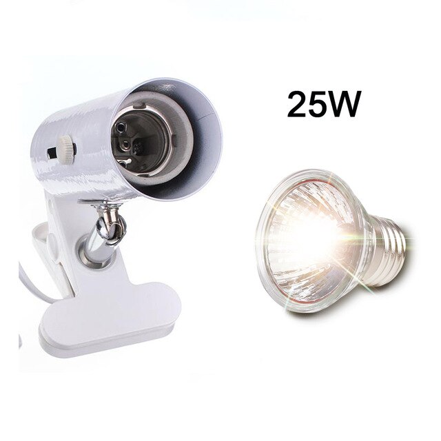 White and 25W lamp