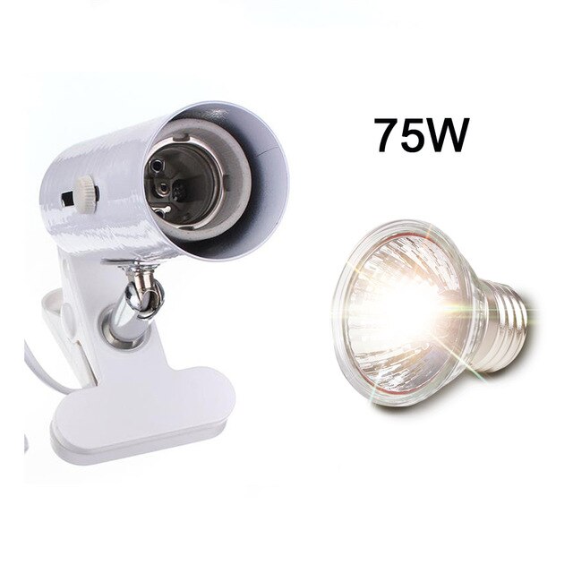 White and 75W lamp