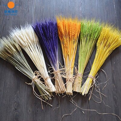 100pcs Mix Color