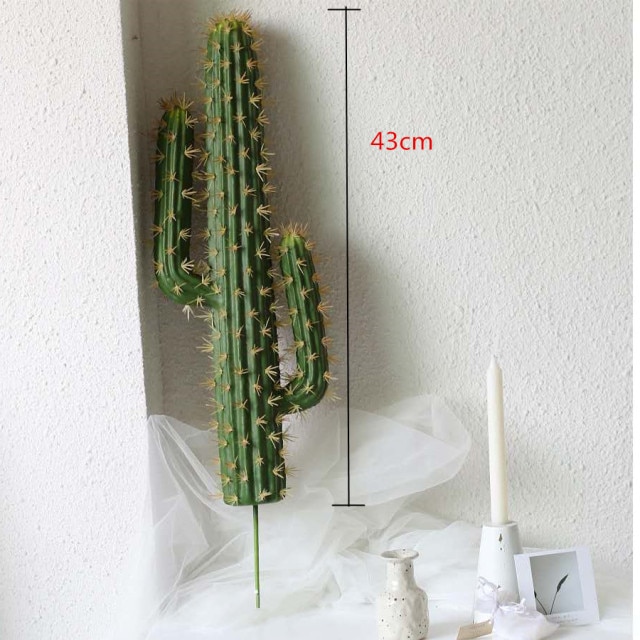 43cm