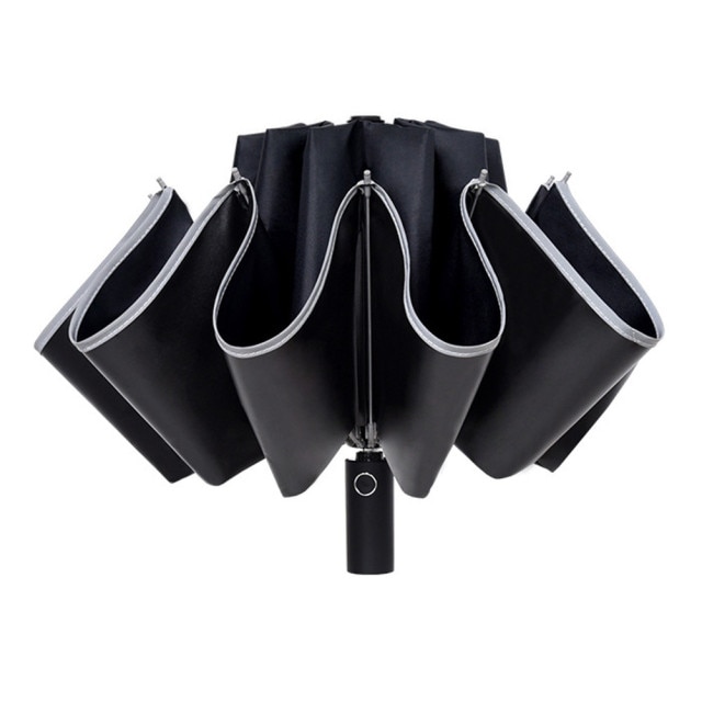 Folding umbrella 1