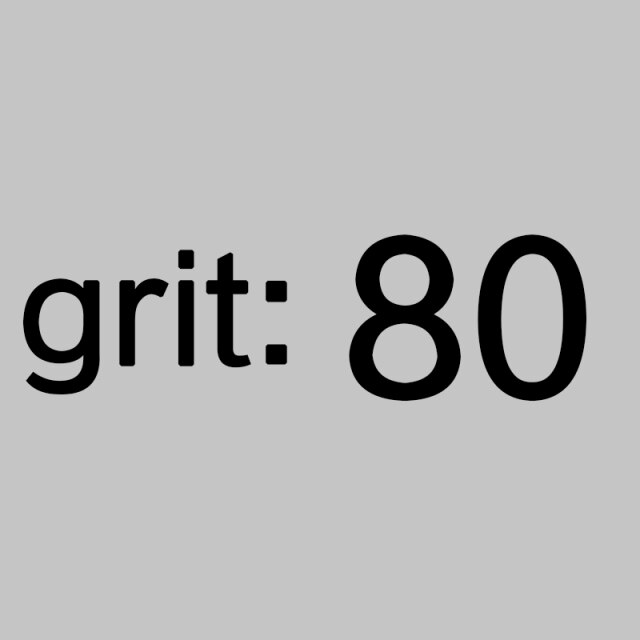 1pieces grit 80