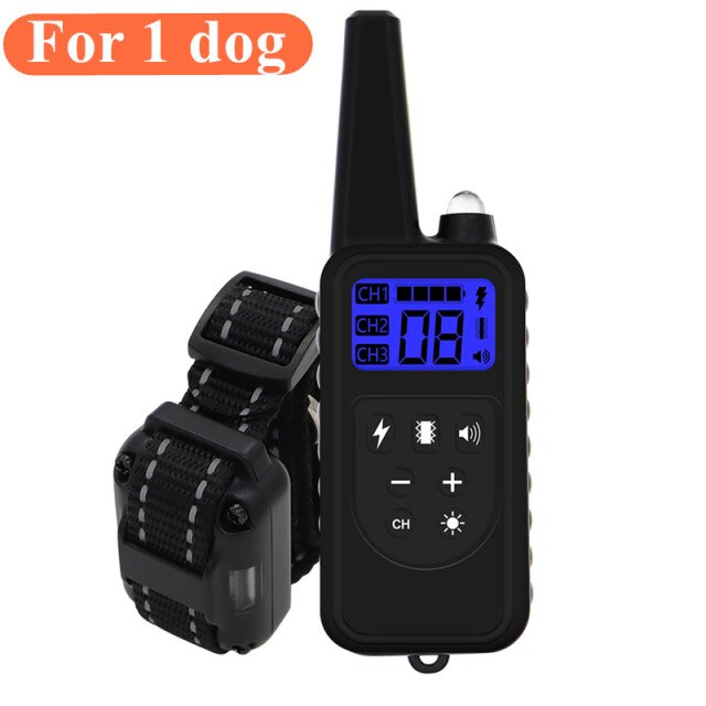 For 1 dog