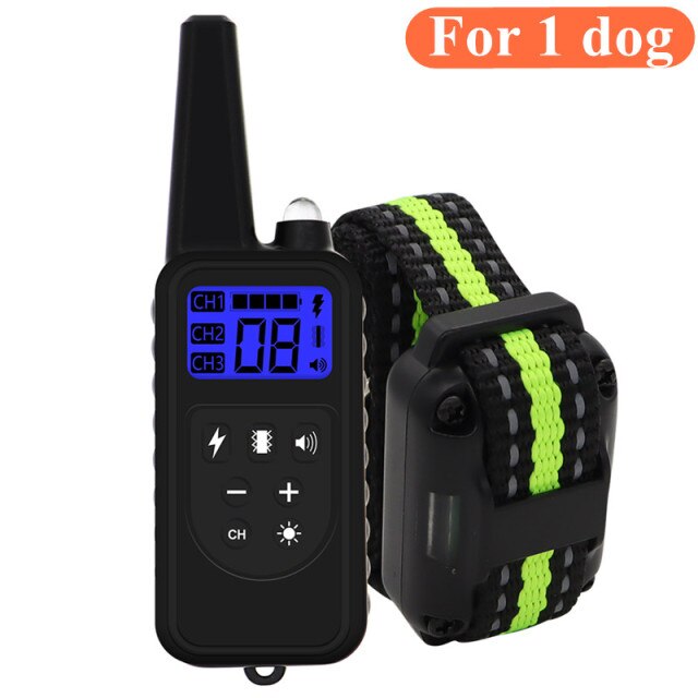 For 1 dog-691