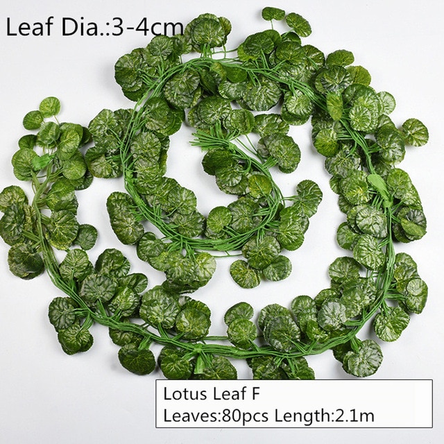 Lotus Leaf F