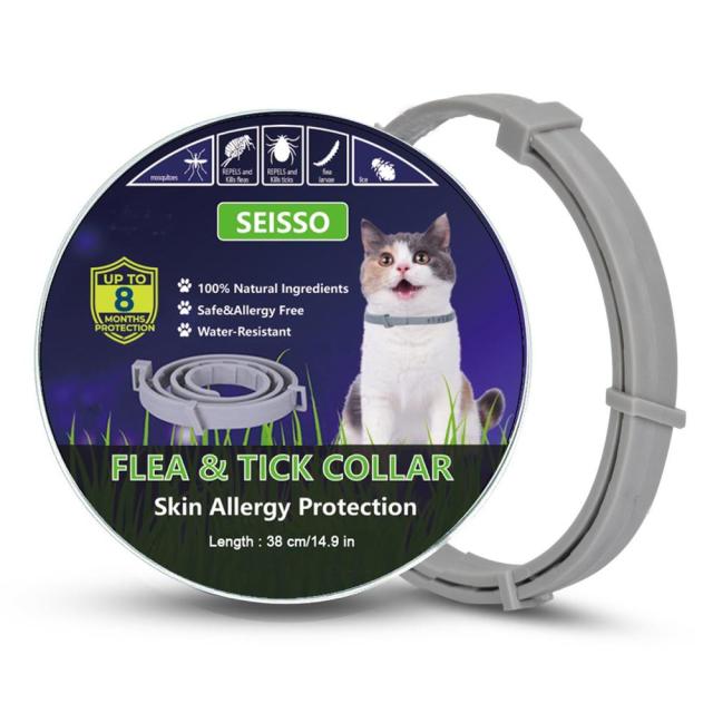 Cat collar