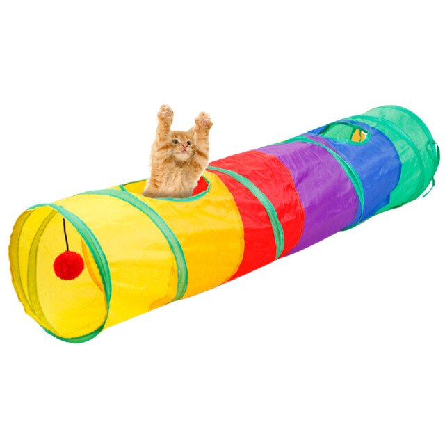 Cat Tunnel-366