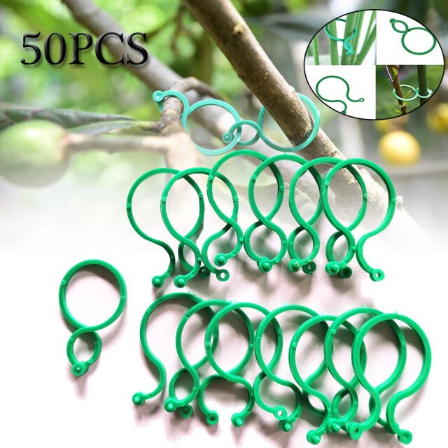 50PCS