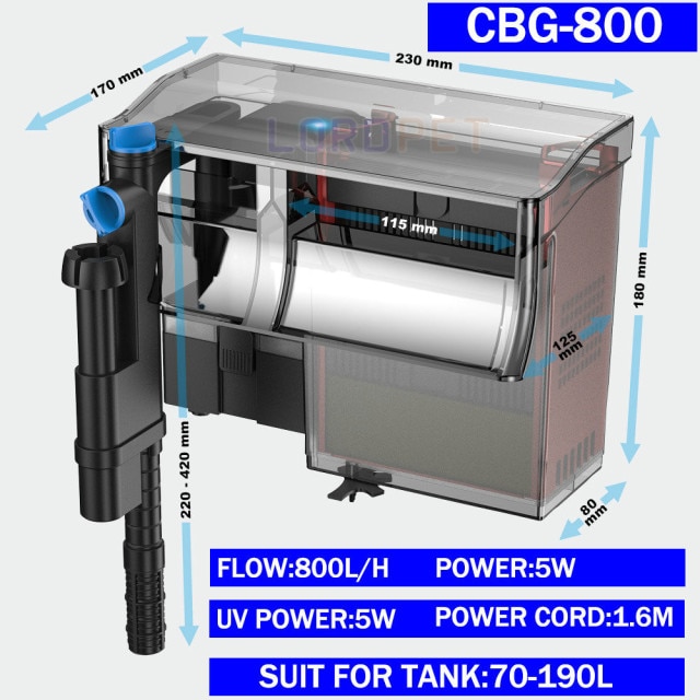 cbg-800