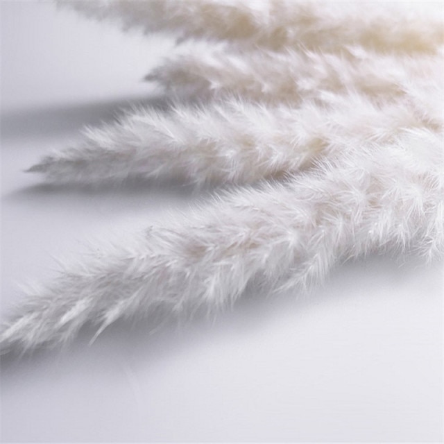 10pcs white color