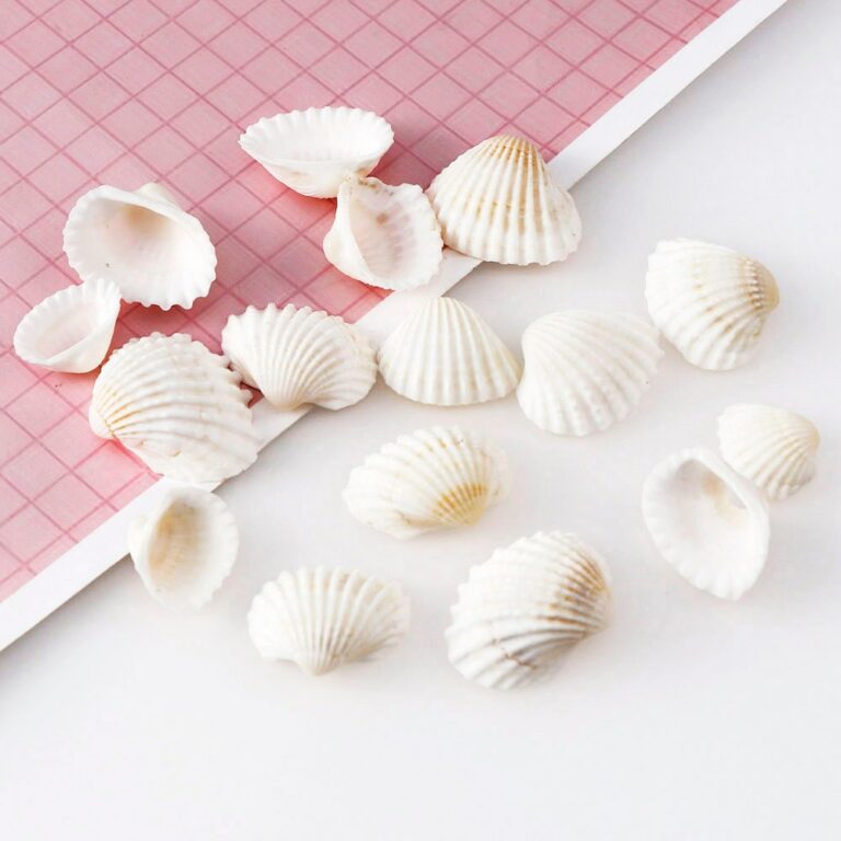 30G Körülbelül 20Db Kagyló - Image 2