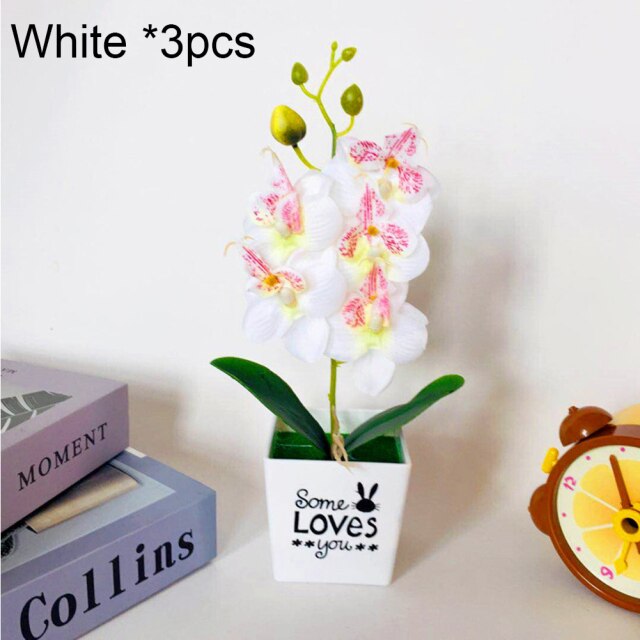 White 3Pcs