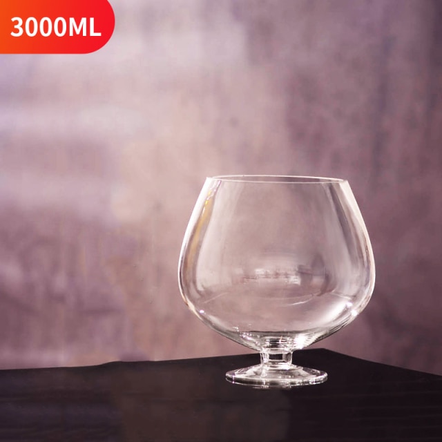 3000ml