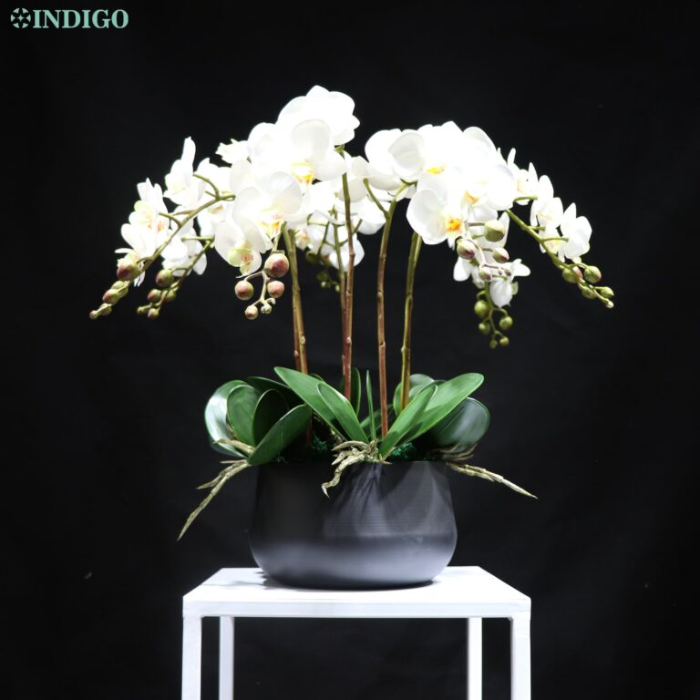54Mm Indigo- White Orchid (7Db Orchidea 5Db Leaves Pot) Diy Flower Arrangement Touch - Image 3