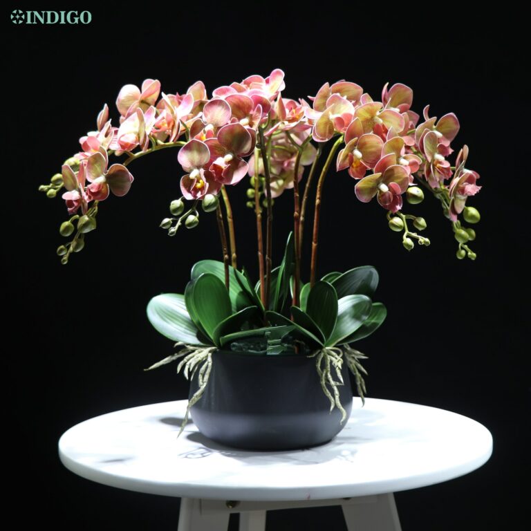 54Mm Indigo- White Orchid (7Db Orchidea 5Db Leaves Pot) Diy Flower Arrangement Touch - Image 5