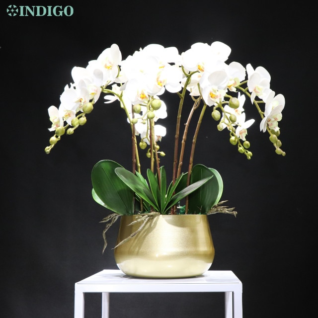 1 set DIY gold pot-350850