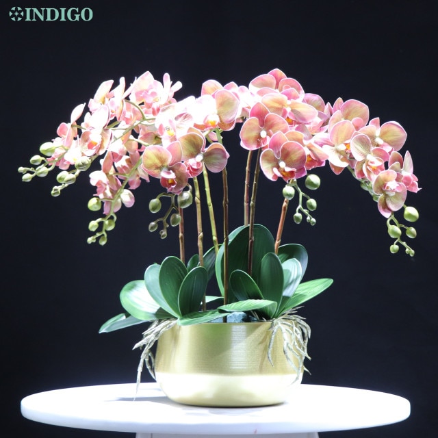 1 set DIY gold pot-691