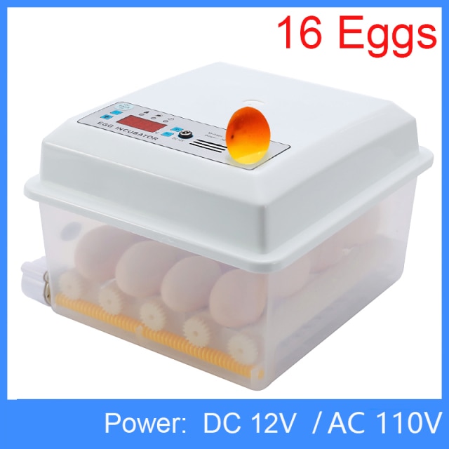 AC 110V DC 12V