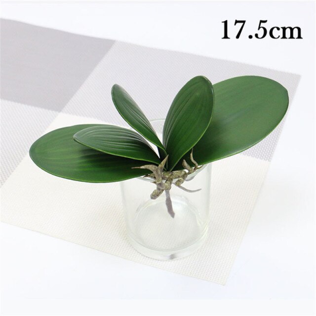 17.5cm 5 leaves