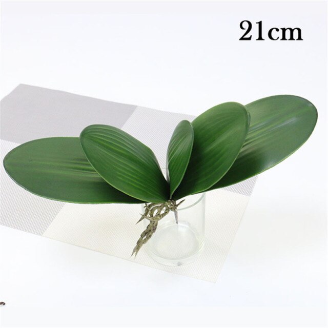 21.5cm 5 leaves