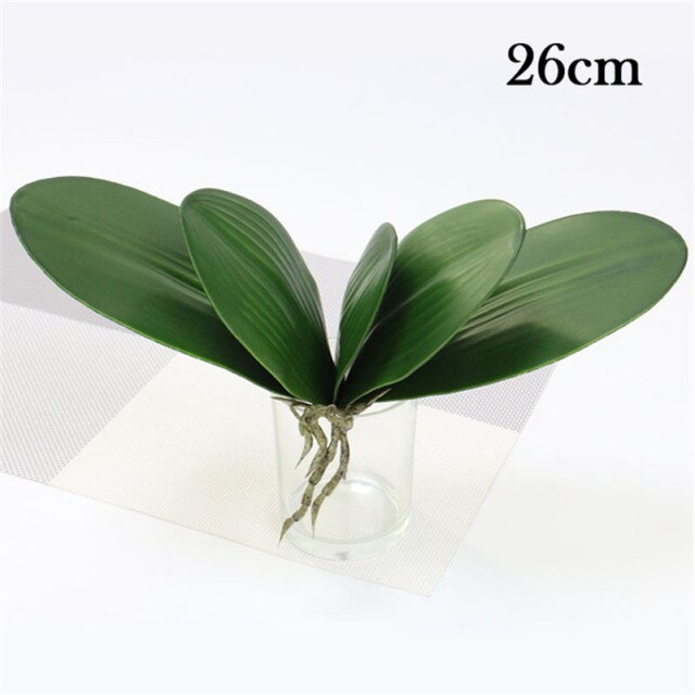 26cm 5 leaves