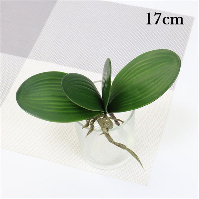 17cm 4 leaves