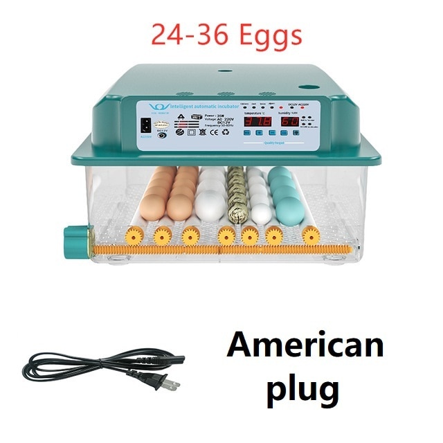 US - plug